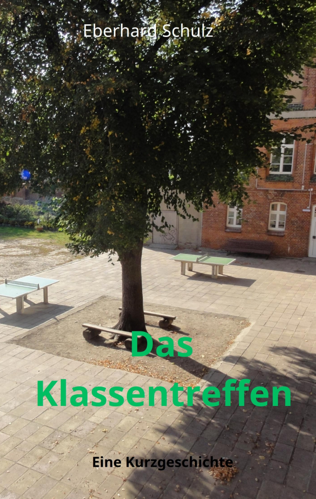Cover_Das_Klassentreffen